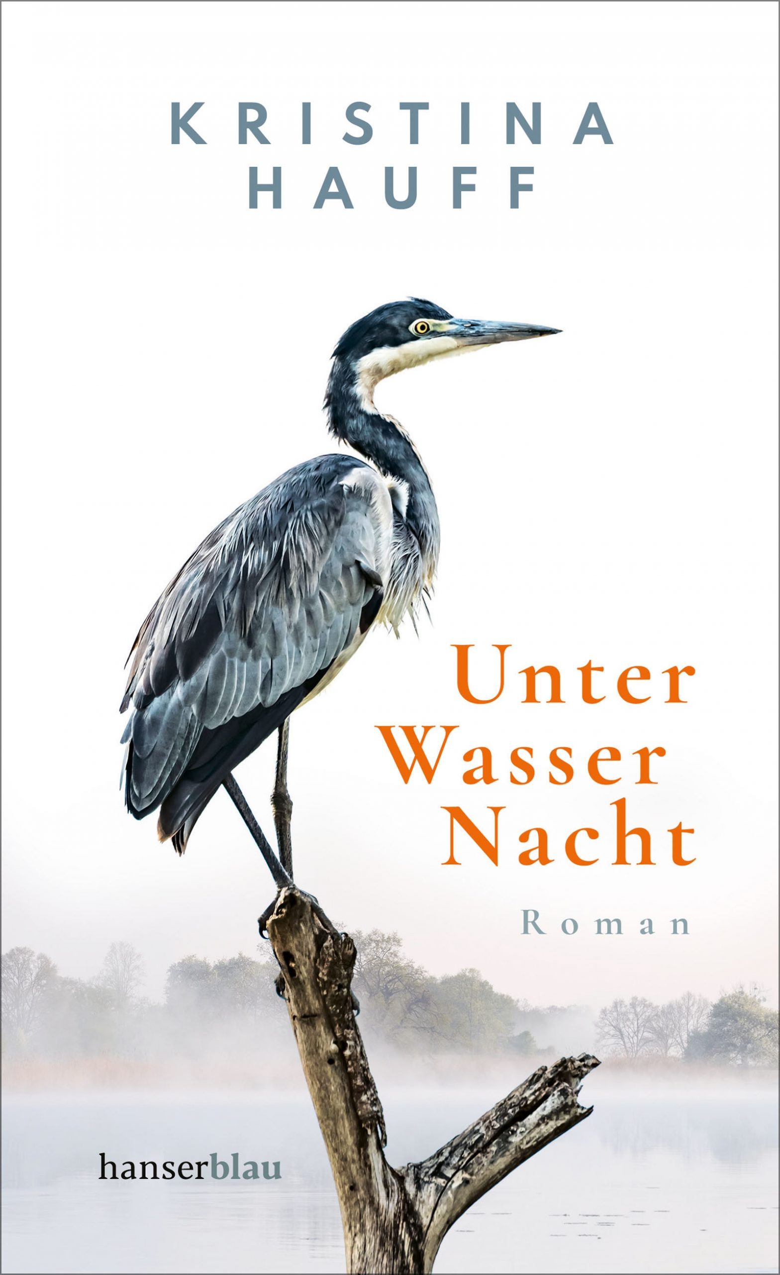 Unter Wasser Nacht von Kristina Hauff Parkbuchhandlung Buchhandlung Bonn Bad Godesberg