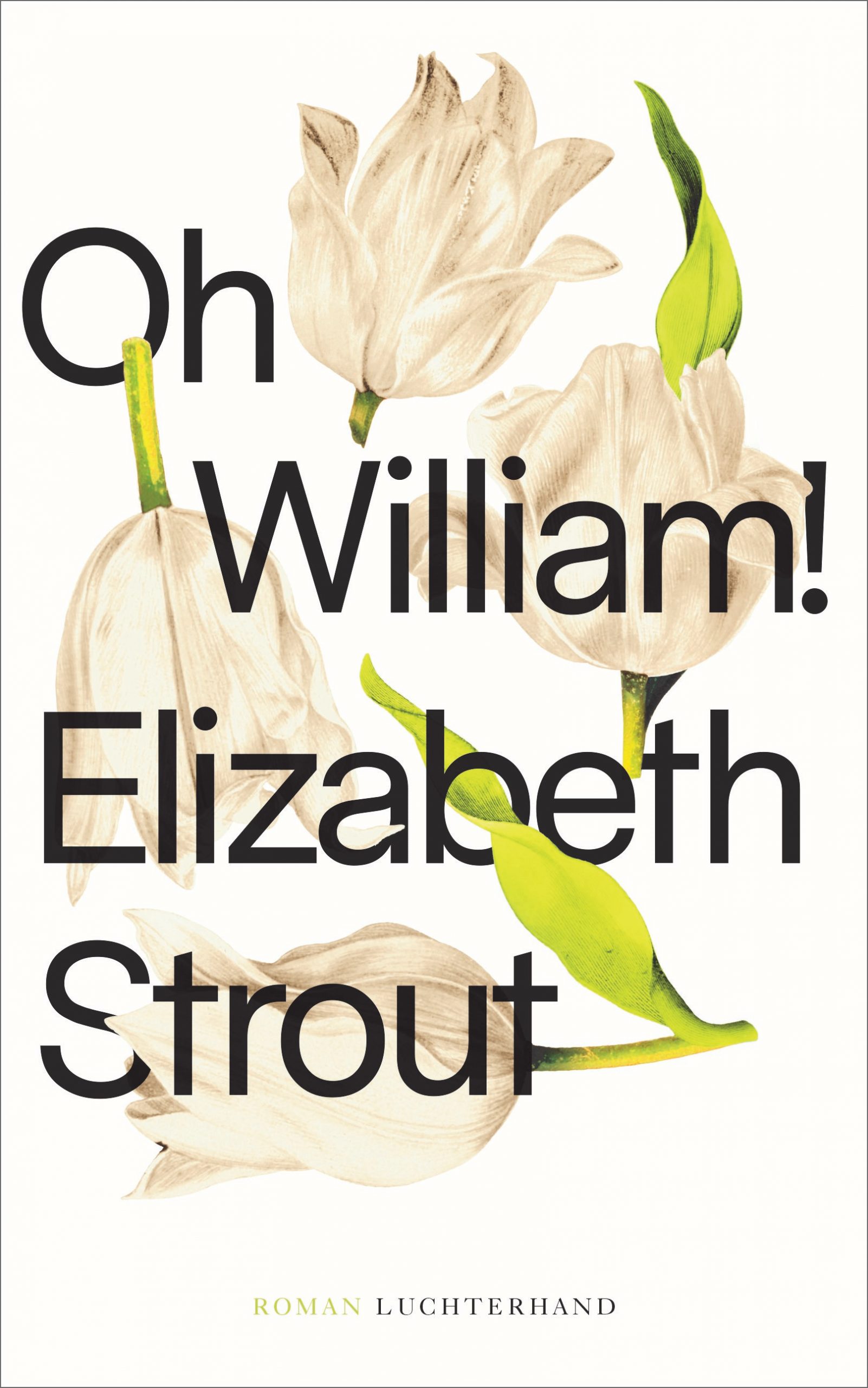 Oh, William! von Elizabeth Strout Parkbuchhandlung Buchhandlung Bonn Bad Godesberg