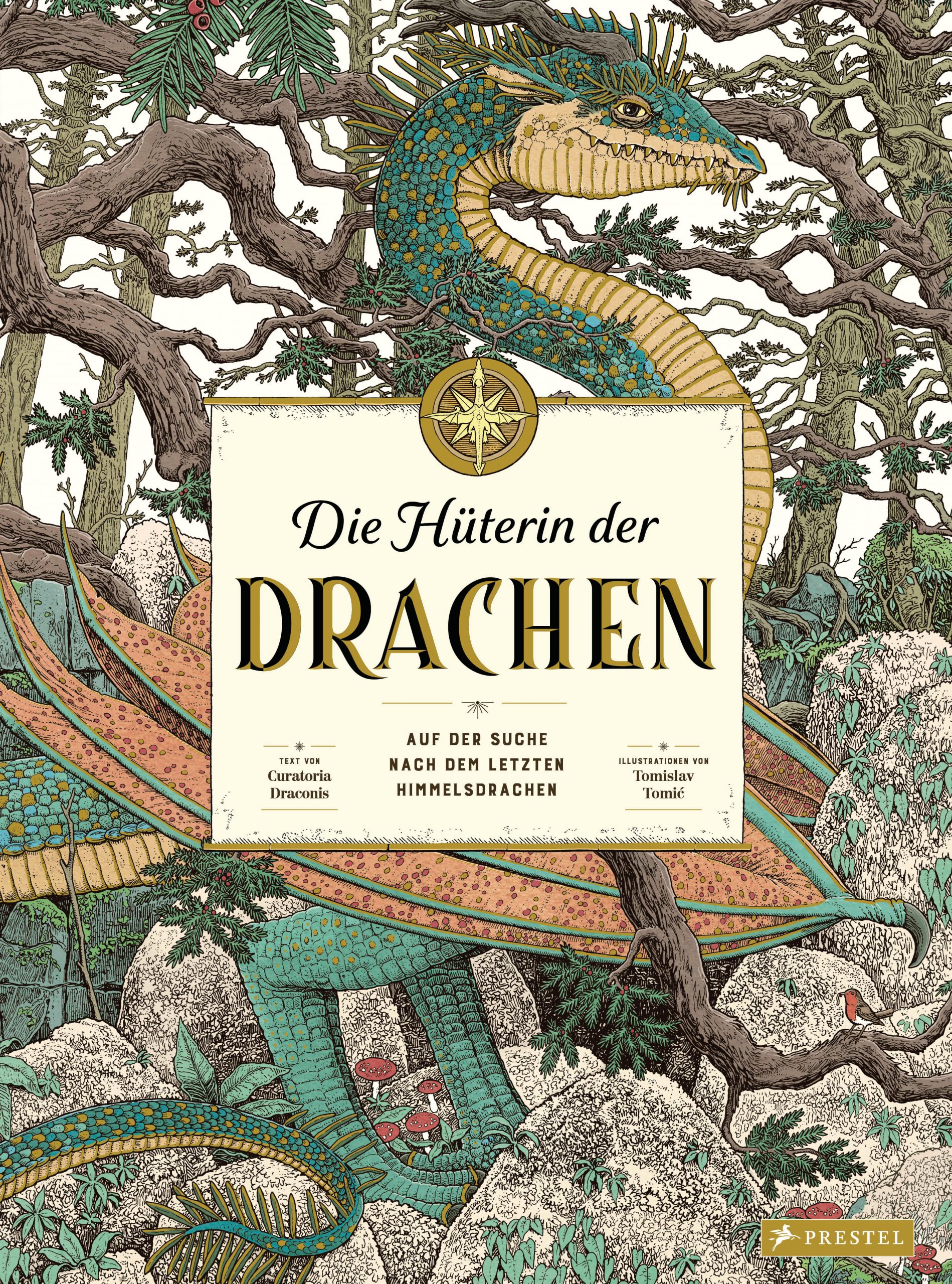Die Hüterin der Drachen. Auf der Suche nach dem letzten Himmelsdrachen von Curatoria Draconis Parkbuchhandlung Buchhandlung Bonn Bad Godesberg