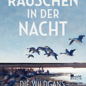 Rauschen in der Nacht von Thomas Steinfeld