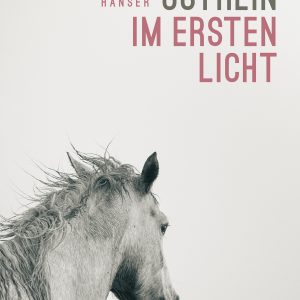 Im ersten Licht von Norbert Gstrein